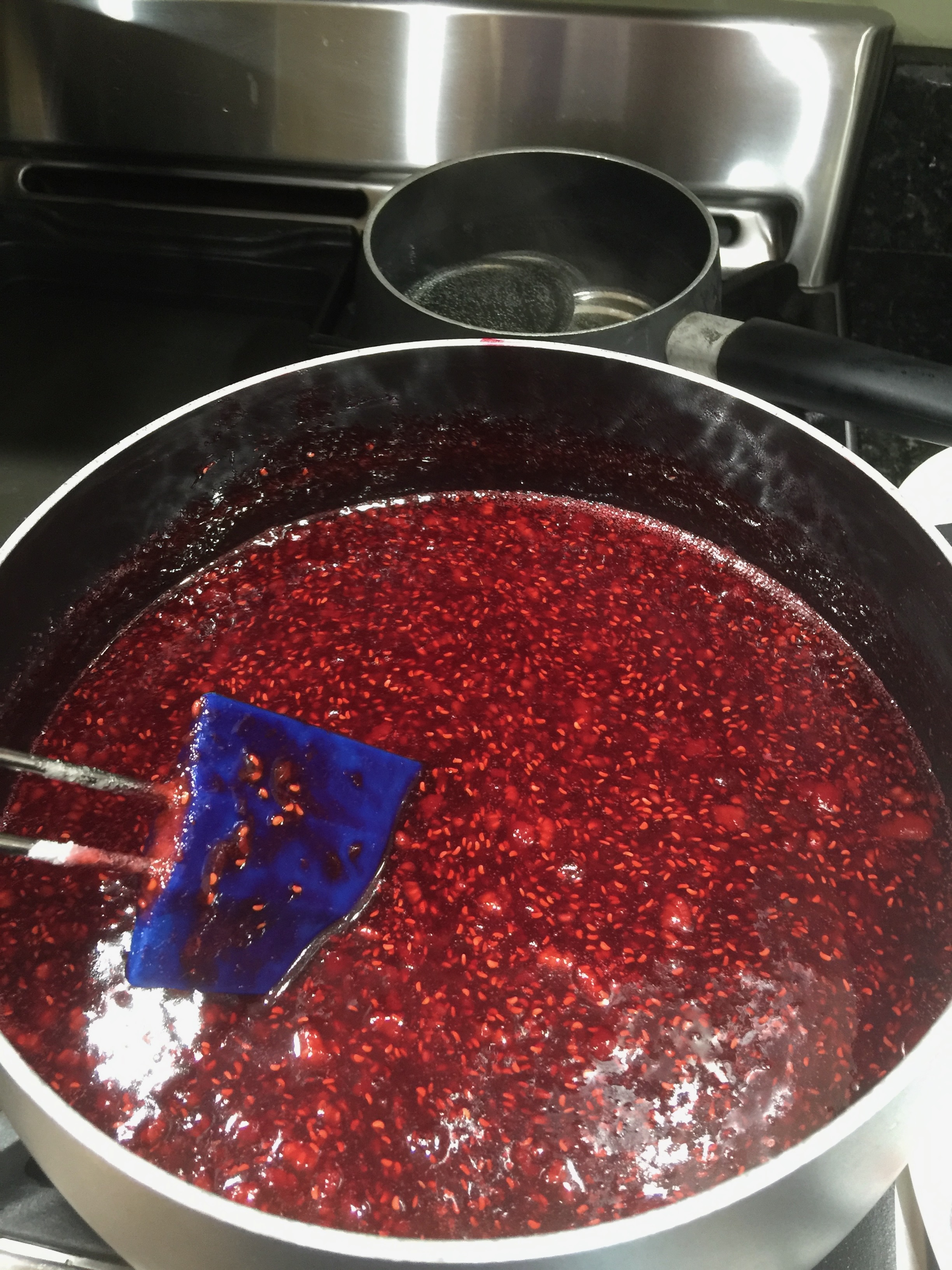 Raspberry Jam